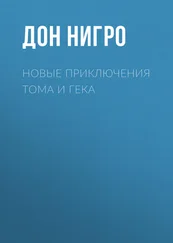 Дон Нигро - Новые приключения Тома и Гека