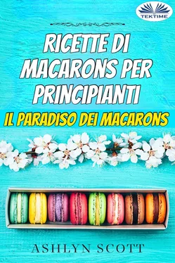 Ashlyn Scott Ricette Di Macarons Per Principianti обложка книги