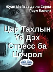 Paul Valent - Цар Тахлын Үе Дэх Стресс Ба Цочрол