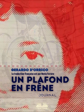 Gerardo D'Orrico Un Plafond En Frêne обложка книги