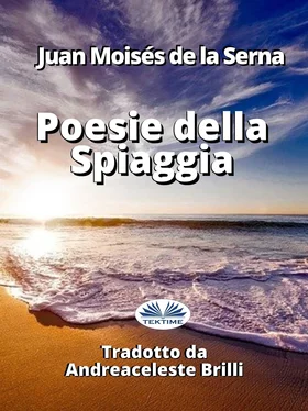Juan Moisés De La Serna Poesie Della Spiaggia обложка книги