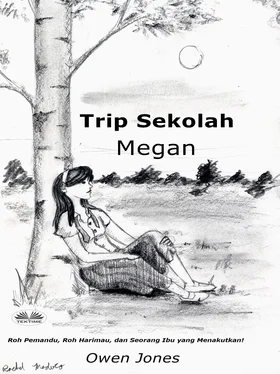 Owen Jones Trip Sekolah Megan обложка книги