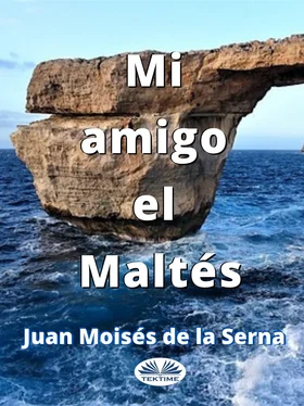 Juan Moisés De La Serna Mi Amigo El Maltés обложка книги