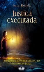 Saša Robnik - Justiça Executada
