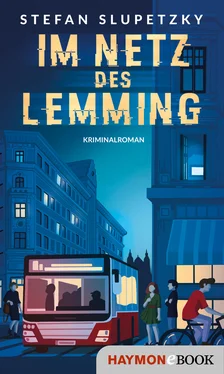 Stefan Slupetzky Im Netz des Lemming обложка книги