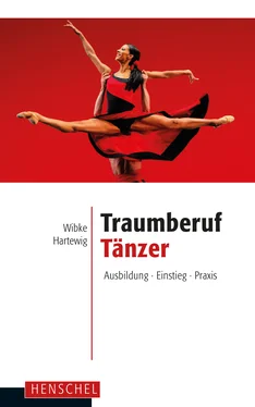 Wibke Hartewig Traumberuf Tänzer обложка книги