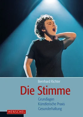 Bernhard Richter Die Stimme обложка книги