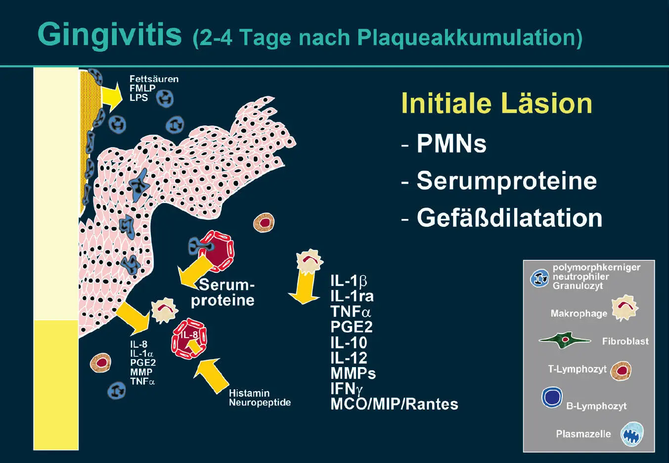 Abb 3 Initiale Läsion Bei Persistieren der in Abb 2dargestellten Mechanismen - фото 21