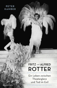 Peter Kamber Fritz und Alfred Rotter обложка книги