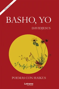 Davidjesus Basho, yo обложка книги