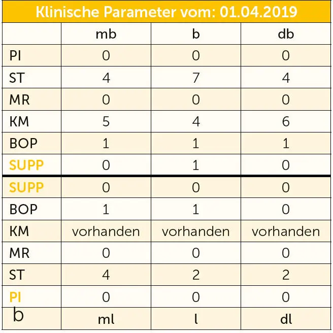 Antibiotika in der Zahnmedizin - фото 26