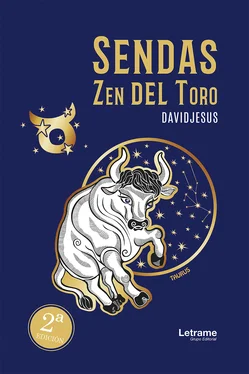 Davidjesus Sendas Zen del Toro обложка книги