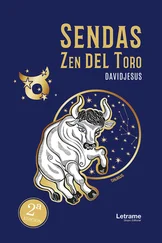 Davidjesus - Sendas Zen del Toro