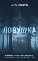 Михаил Погосов - Ловушка