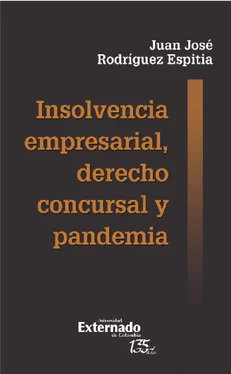 Juan José Rodríguez Insolvencia empresarial, derecho concursal y pandemia обложка книги