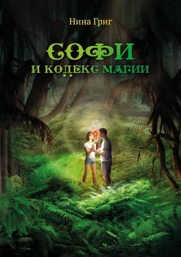 Нина Григ Софи и кодекс магии обложка книги