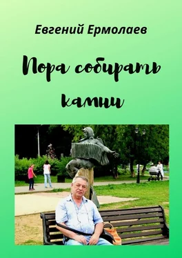 Евгений Ермолаев Пора собирать камни обложка книги
