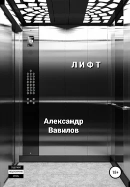 Александр Вавилов Лифт обложка книги