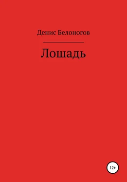 Денис Белоногов Лошадь обложка книги