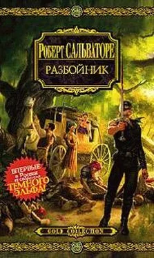 Роберт Сальваторе Разбойник обложка книги