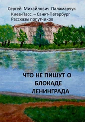 Сергей Паламарчук - Что не пишут о блокаде Ленинграда. Киев-Пасс. – Санкт-Петербург. Рассказы попутчиков