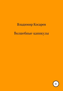 Владимир Косарев Волшебные каникулы обложка книги