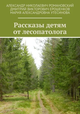 Мария Утесинова Рассказы детям от лесопатолога обложка книги