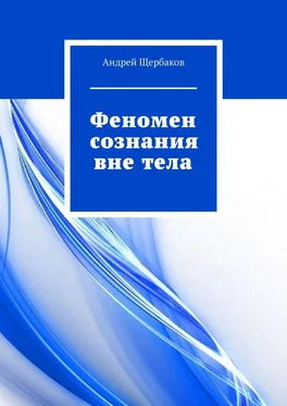 Андрей Щербаков Феномен сознания вне тела обложка книги