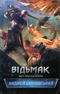 Анджей Сапковський Відьмак. Меч призначення обложка книги