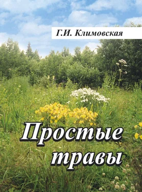 Галина Климовская Простые травы обложка книги