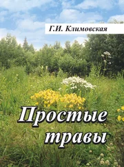 Галина Климовская - Простые травы