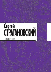 Сергей Стратановский - Изборник. Стихи 1968–2018