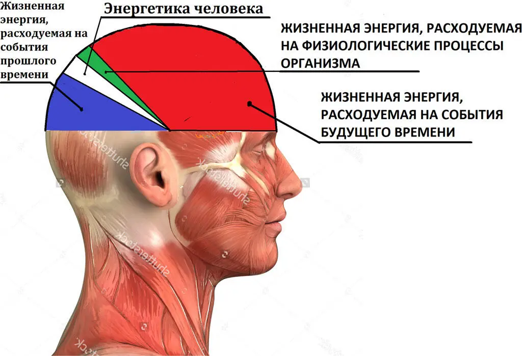 Рисунок 7 Соответственно уровень Энергетики низкий так как на Энергетику - фото 8