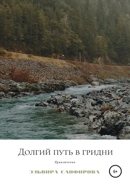Эльвира Сапфирова Долгий путь в Гридни обложка книги