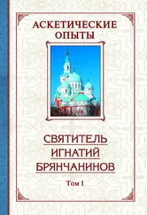 Святитель Игнатий Брянчанинов - Аскетические опыты. Том 1