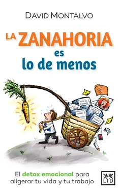 David Montalvo La zanahoria es lo de menos обложка книги