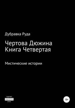 Дубравка Руда Чертова Дюжина. Книга Четвертая обложка книги