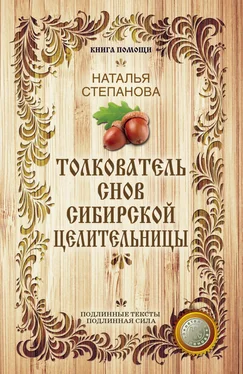 Наталья Степанова Толкователь снов сибирской целительницы обложка книги