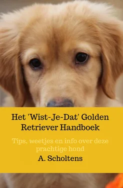 A. Scholtens Het 'Wist-Je-Dat' Golden Retriever Handboek обложка книги