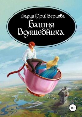 Мария (Эри) Берцева Башня Волшебника обложка книги