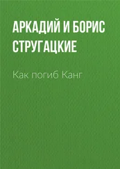 Аркадий и Борис Стругацкие - Как погиб Канг