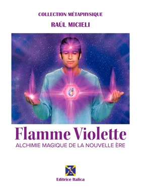 Raúl Micieli Flamme Violette обложка книги