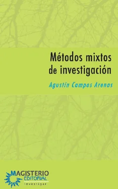 Agustín Campos Arenas Métodos mixtos de investigación обложка книги