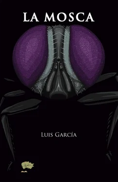 Luis García La mosca обложка книги