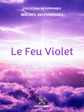 Thomas Printz Le Feu Violet обложка книги