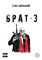 Станислав Барецкий - Брат 3