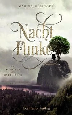 Marion Hübinger Nachtfunke 2 обложка книги