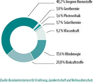 In den vergangenen Jahren hat es deutliche Veränderungen beim Energiemix - фото 12
