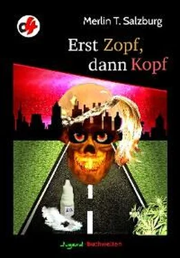 Merlin T. Salzburg Erst Zopf dann Kopf обложка книги