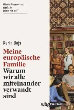 Karin Bojs Meine europäische Familie обложка книги